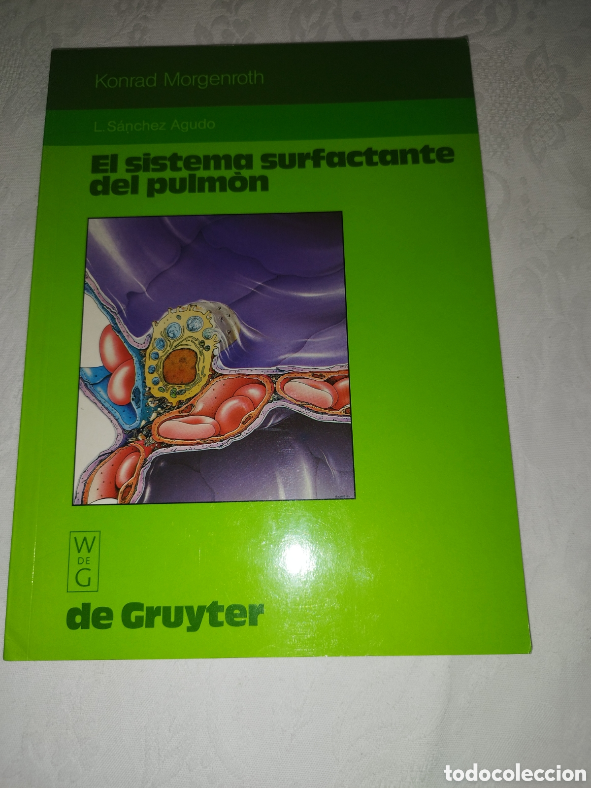Libros de segunda mano: EL SISTEMA SURFACTANTE DEL PULMON.- K. MORGENROTH. ED. WALTER DE GRUYTER, 1988. ILUSTRADO.