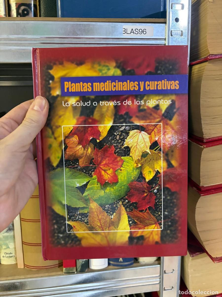 Libros de segunda mano: BLAS96 Plantas medicinales y curativas. La salud a trav&eacute;s de las plantas &ndash; Susaeta.