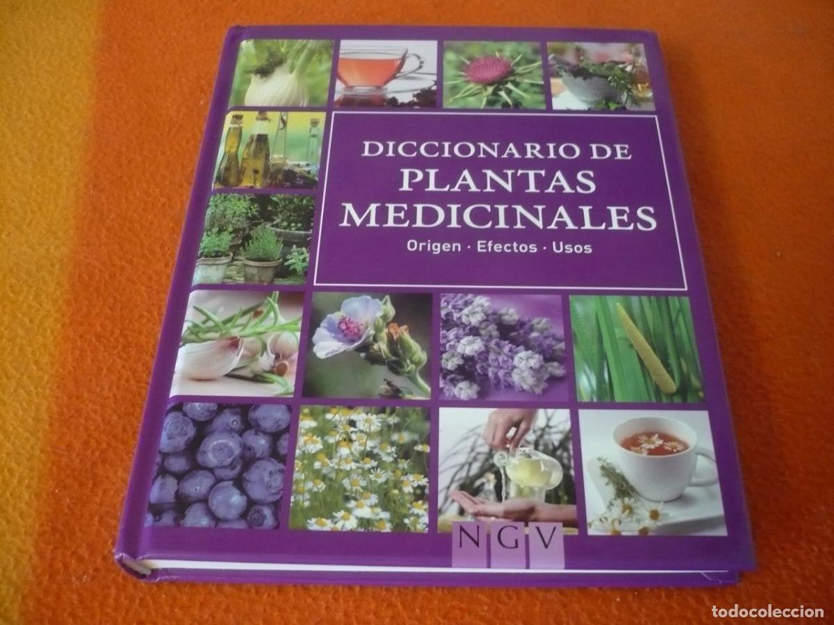 Libros de segunda mano: DICCIONARIO PLANTAS MEDICINALES ORIGEN EFECTOS USOS HIERBAS SANACION MEDICINA