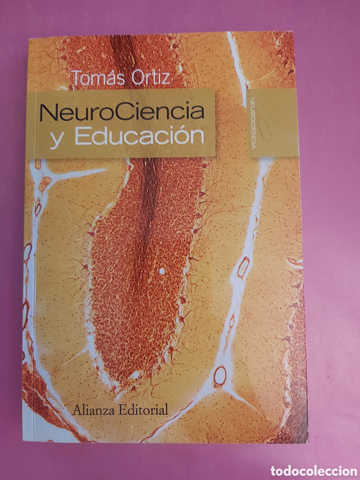 Libros de segunda mano: NEUROCIENCIA Y EDUCACI&Oacute;N TOM&Aacute;S ORTIZ ALIANZA EDITORIAL 2013