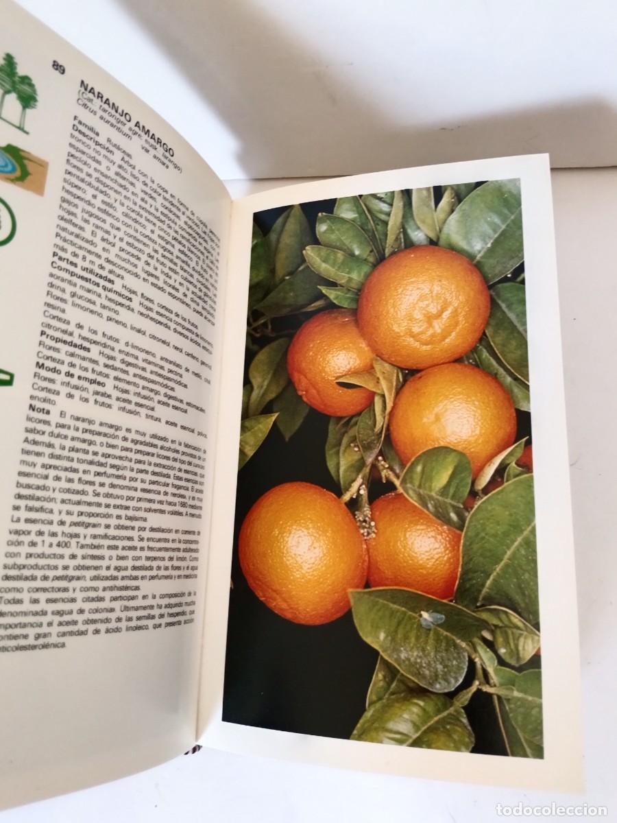 Libros de segunda mano: Gu&iacute;a de plantas medicinales - Foto 7