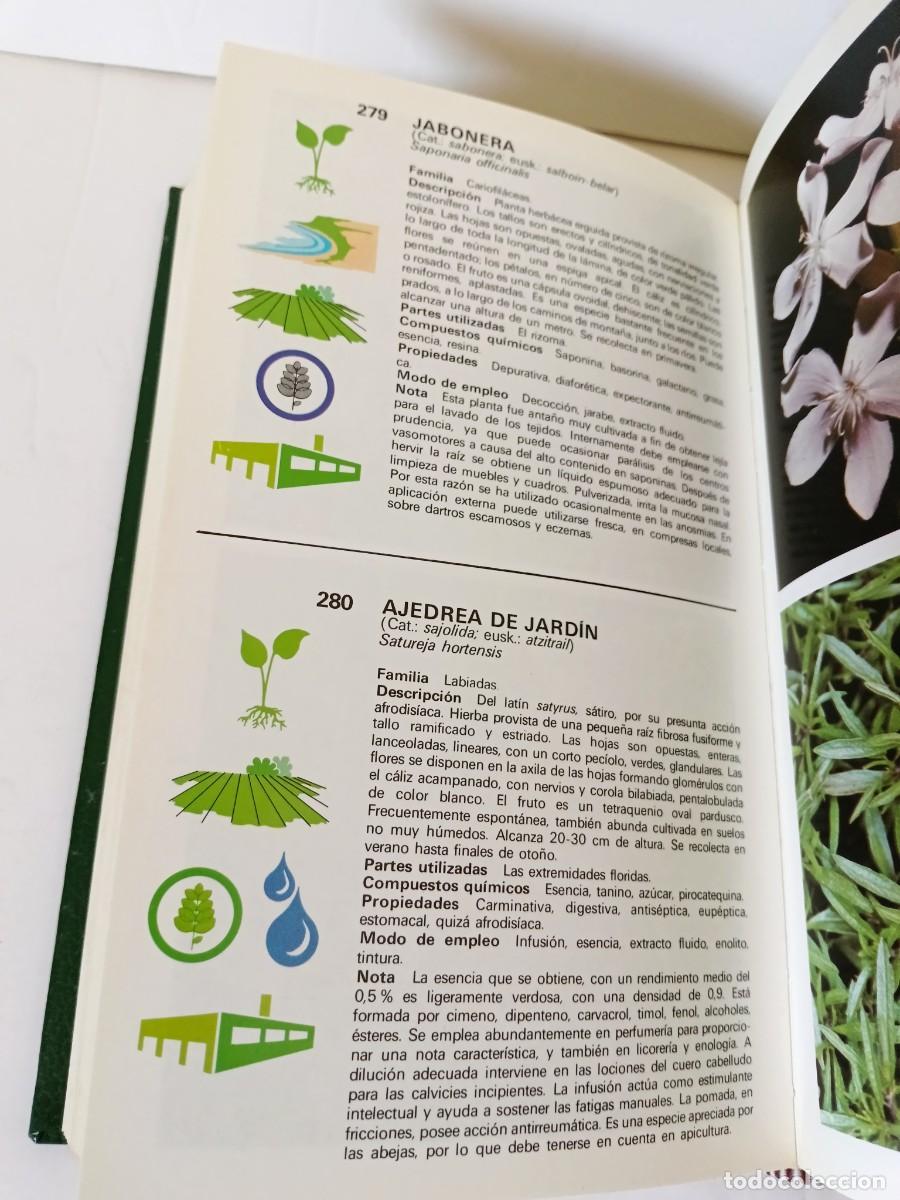 Libros de segunda mano: Gu&iacute;a de plantas medicinales - Foto 8
