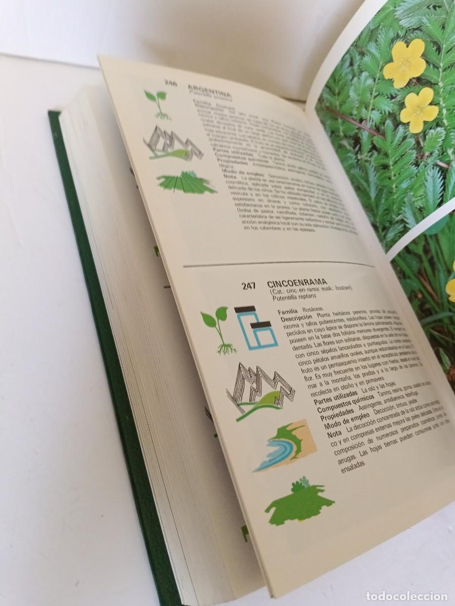 Libros de segunda mano: Gu&iacute;a de plantas medicinales - Foto 9