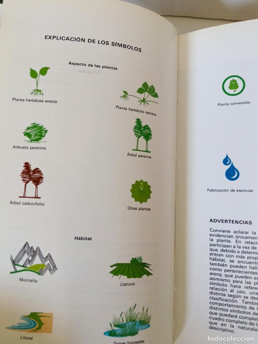 Libros de segunda mano: Gu&iacute;a de plantas medicinales - Foto 11