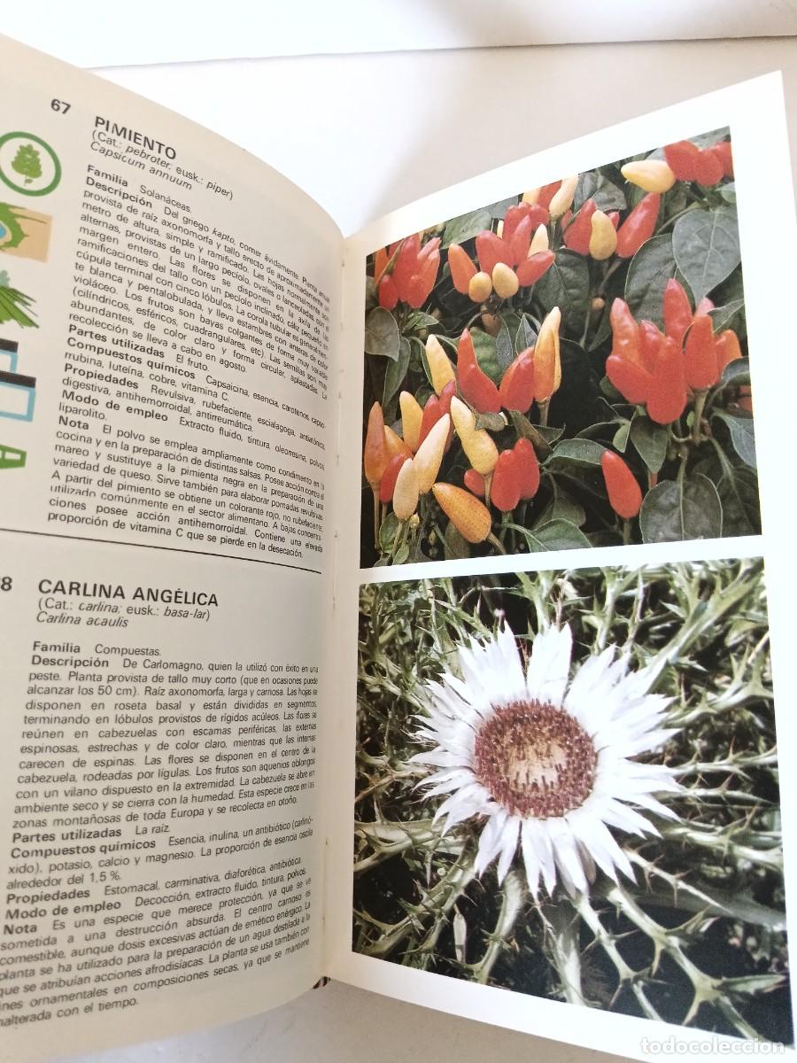 Libros de segunda mano: Gu&iacute;a de plantas medicinales - Foto 12