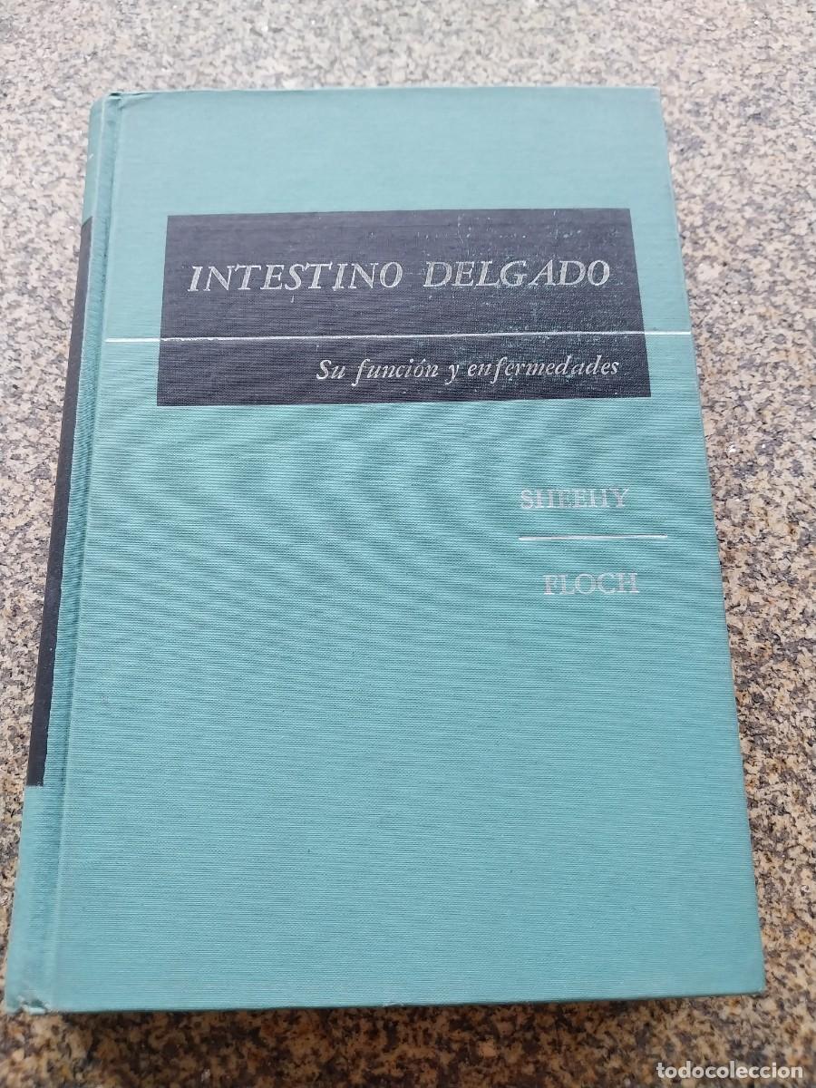 Libros de segunda mano: INTESTINO DELGADO - SU FUNCION Y ENFERMEDADES -- SHEEHY Y FLOCH --
