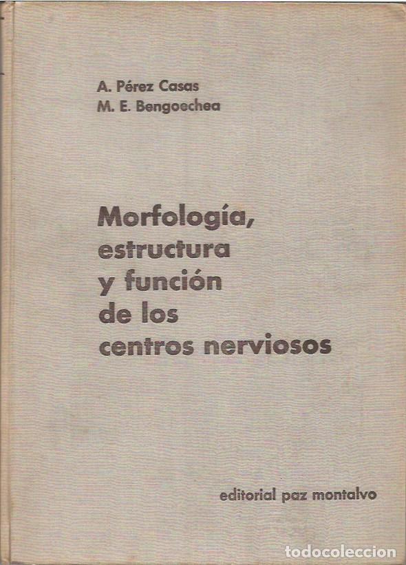 Libros de segunda mano: MORFOLOGIA ESTRUCTURA Y FUNCION DE LOS CENTROS NERVIOSOS A PEREZ CASAS M E BENGOECHEA EDITORIAL PAZ