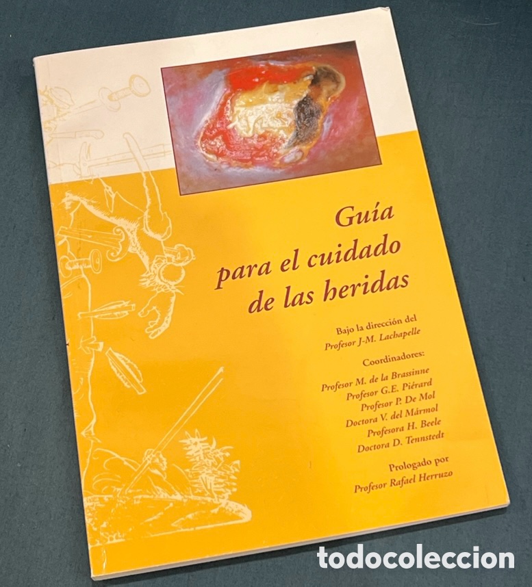 Libros de segunda mano: Libro. &ldquo;Gu&iacute;a para el cuidado de las heridas&rdquo;. Viatris. 2002.
