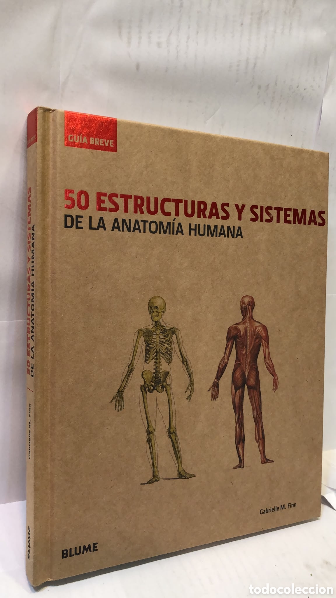 Libri di seconda mano: 50 estructuras y sistemas de la anatom&iacute;a humana - Gabrielle M. Finn