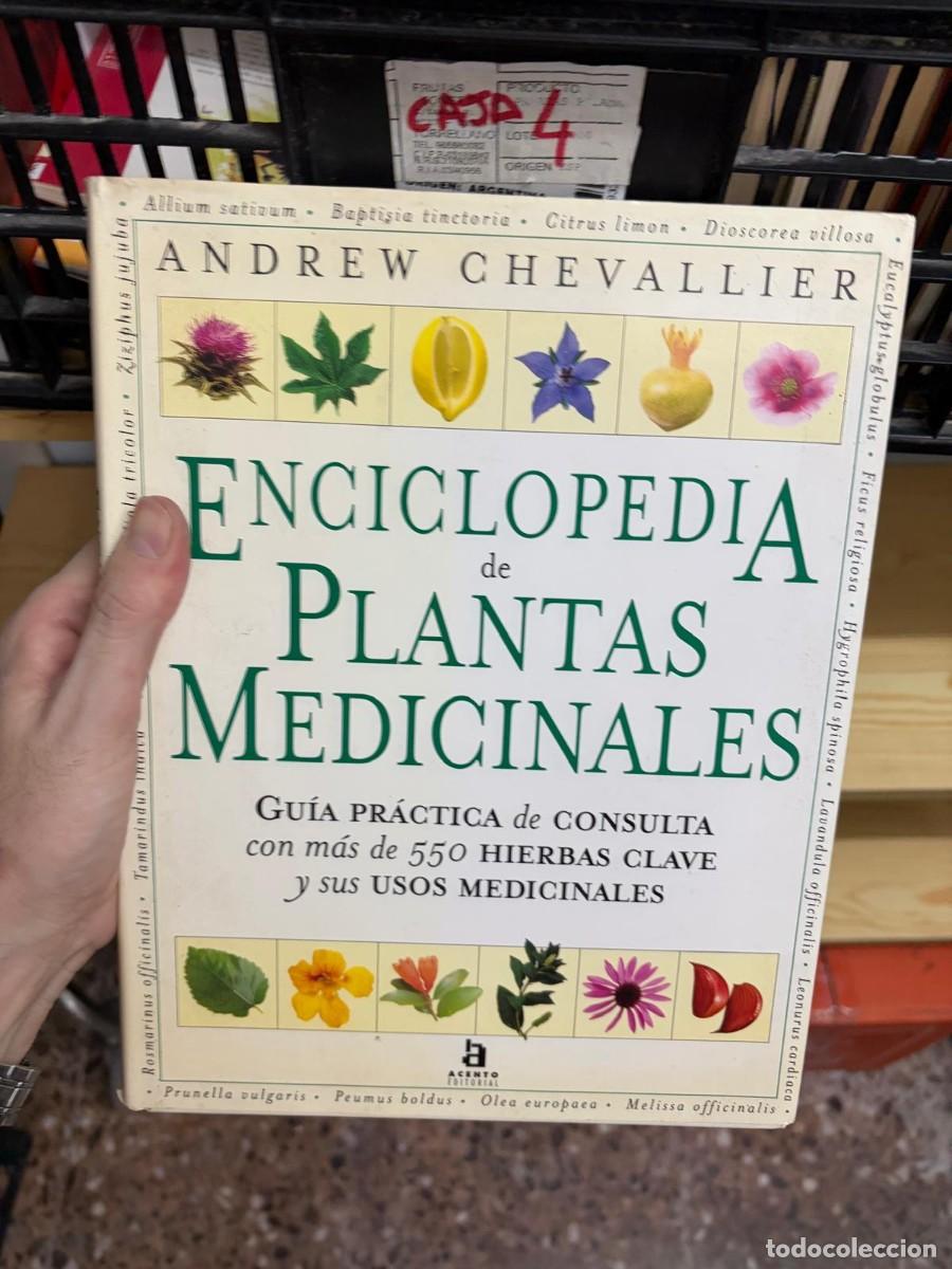 Libros de segunda mano: CAJA4 Andrew Chevallier, Enciclopedia de plantas medicinales. Gu&iacute;a pr&aacute;ctica de consulta, Acento Edit