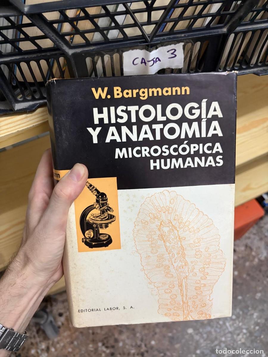 Libros de segunda mano: CAJA3 W. Bargmann, Histolog&iacute;a y anatom&iacute;a microsc&oacute;pica humanas, Editorial Labor, S. A.