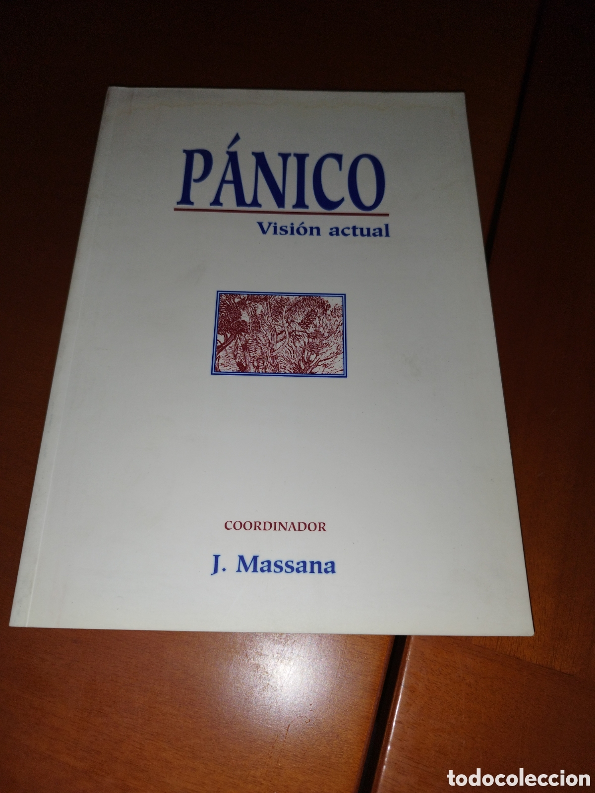 Libros de segunda mano: P&Aacute;NICO. VISION ACTUAL.- COORDINADOR.- ED. J.MASSANA. AULA MEDICA, 1997. PSIQUIATRIA