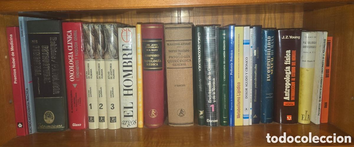Libros de segunda mano: LOTE 24 LIBROS DE MEDICINA &mdash; PATOLOG&Iacute;A, ANATOM&Iacute;A, ENDOCRINOLOG&Iacute;A Y M&Aacute;S