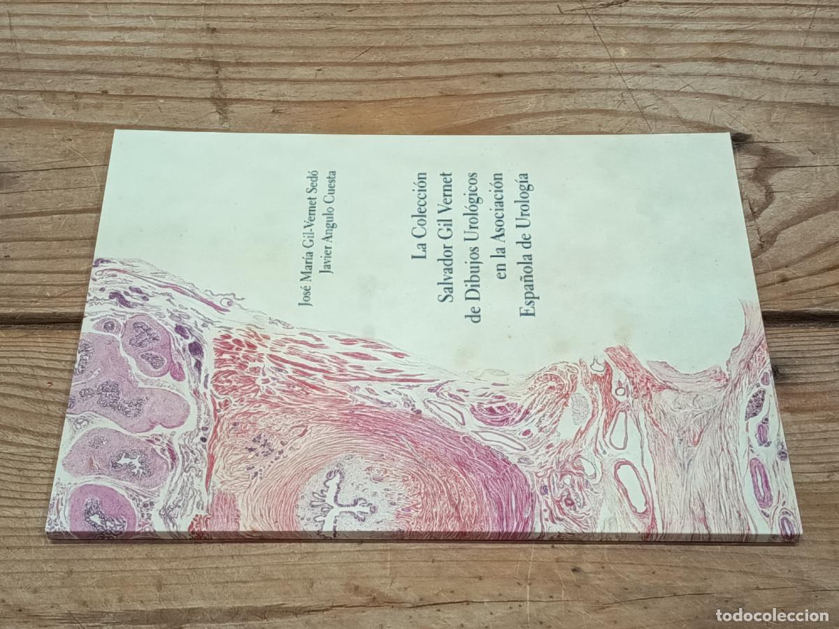 Libros de segunda mano: 2026 - La Colecci&oacute;n Salvador Gil Vernet de dibujos urol&oacute;gicos en la Asociaci&oacute;n de Urolog&iacute;a