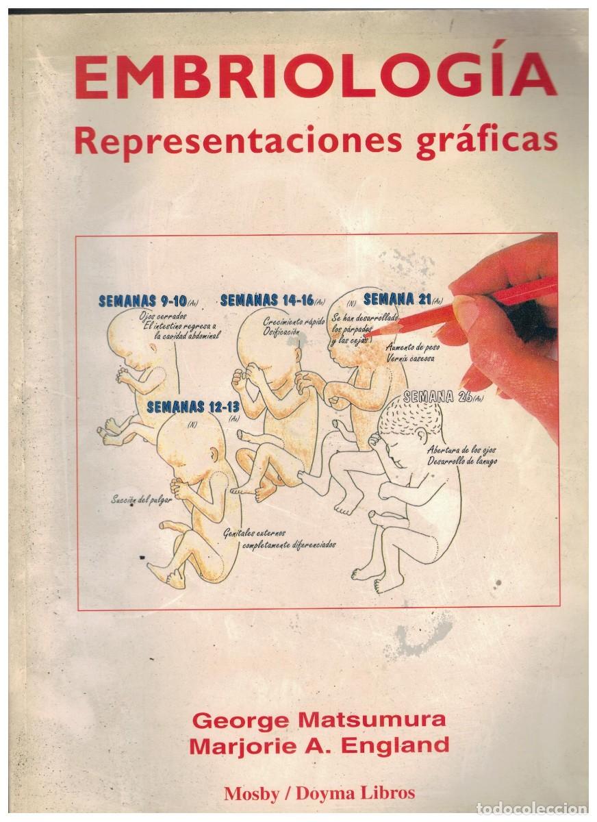 Libros de segunda mano: EMBRIOLOGIA REPRESENTACIONES GRAFICAS. MATSUMURA, GEORGE / ENGLAND, MARJORIE A. A-MEDI-1498