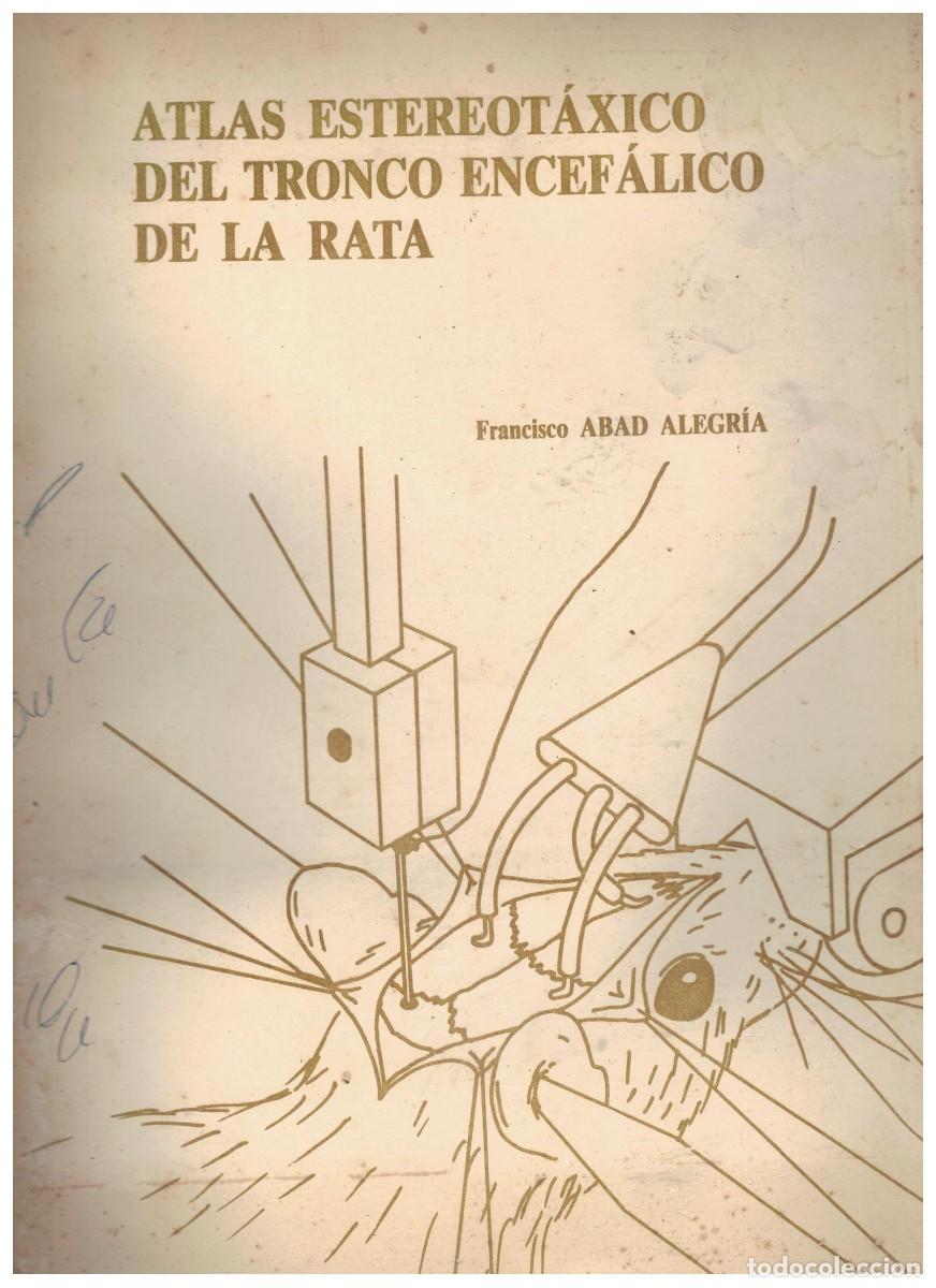 Libros de segunda mano: ATLAS ESTEREOTAXICO DEL TRONCO ENCEFALICO DE LA RATA. ABAD ALEGRIA, FRANCISCO. A-MEDI-1499
