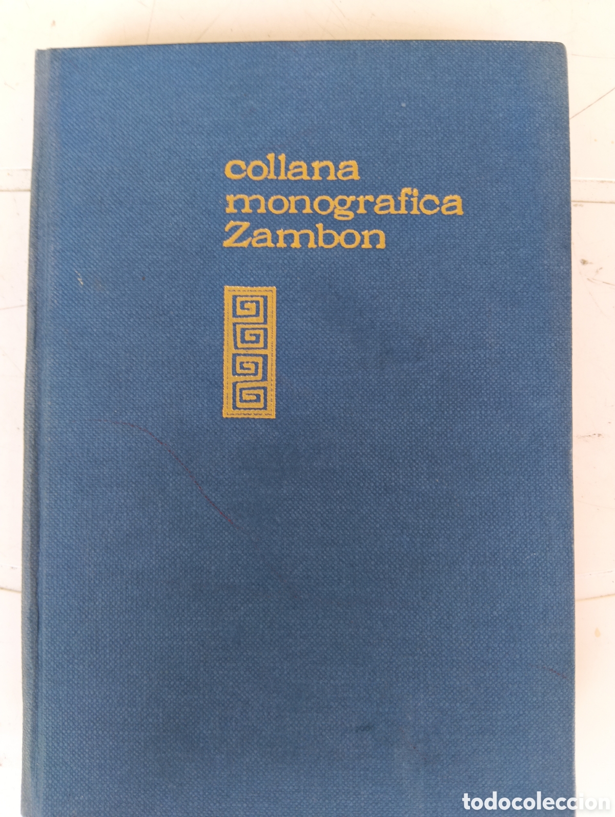 Libros de segunda mano: Collana Monografica Zambon