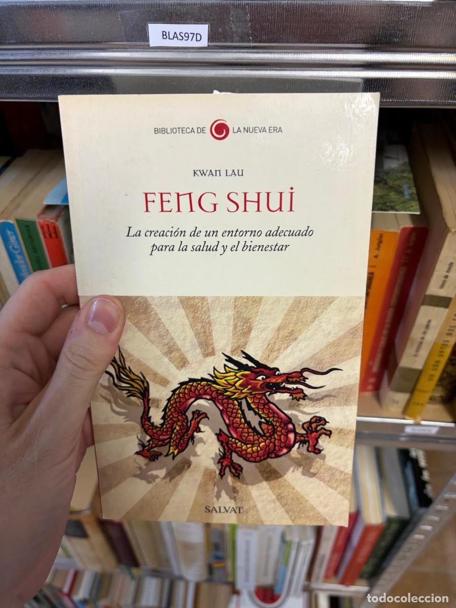 Libros de segunda mano: BLAS97D FENG SHU&Iacute;: LA CREACI&Oacute;N DE UN ENTORNO ADECUADO PARA LA SALUD Y EL BIENESTAR &mdash; Kwan Lau &mdash; Salv