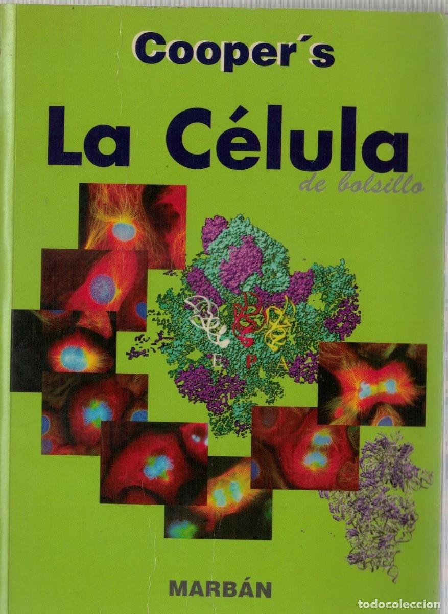 Libros de segunda mano: LA CELULA. COOPER, GEOFFREY M. / HAUSMAN, ROBERT E. A-MEDI-1523