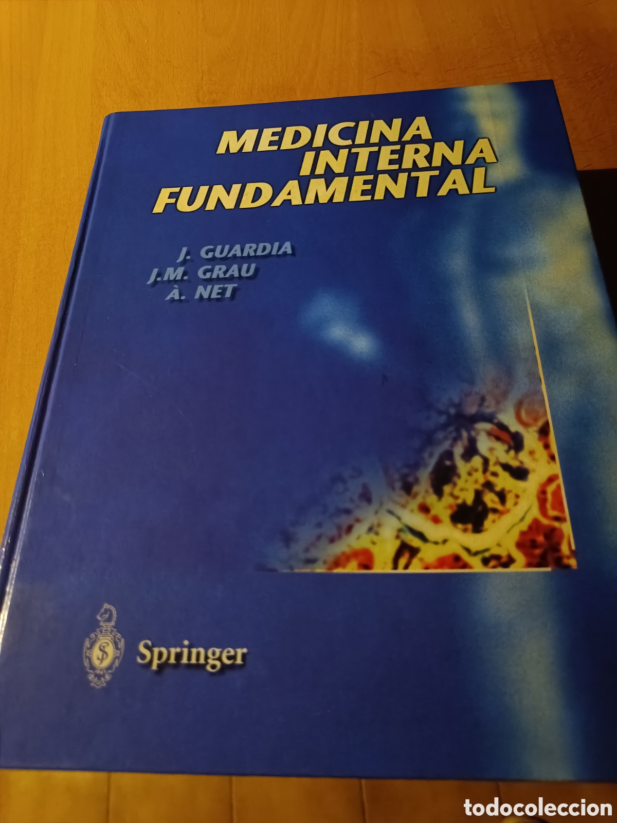 Libros de segunda mano: Medicina interna fundamental