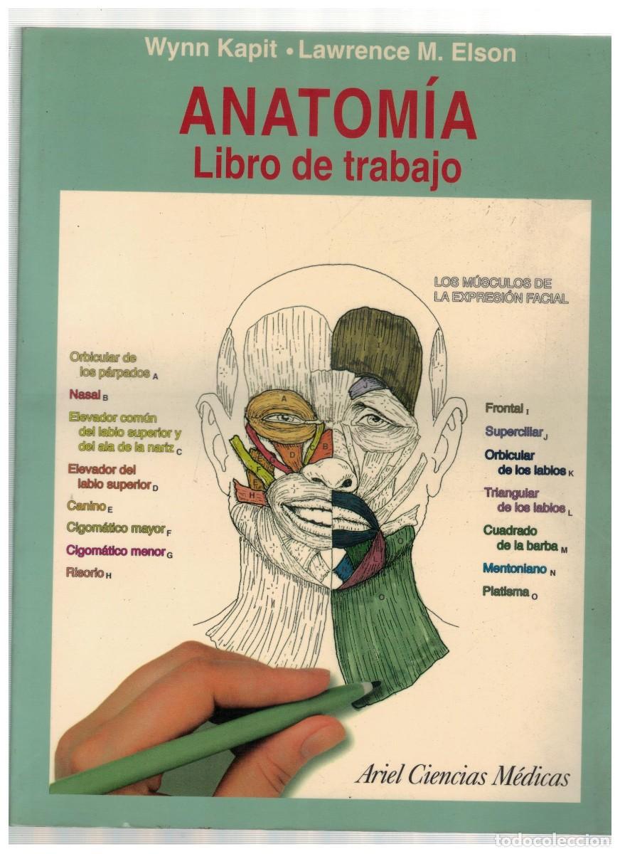 Libros de segunda mano: ANATOMIA LIBRO DE TRABAJO. KAPIT, WYNN / ELSON, LAWRENCE M. A-MEDI-1539