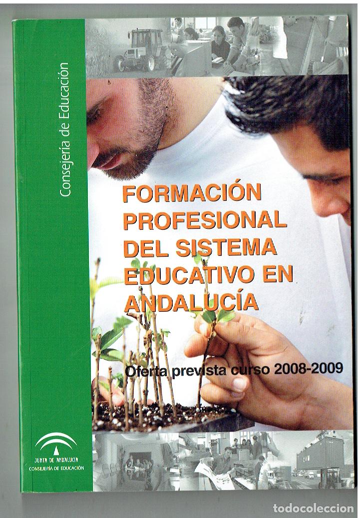 Libros de segunda mano: FORMACI&Oacute;N PROFESIONAL DEL SISTEMA EDUCATIVO EN ANDALUC&Iacute;A. CURSO 2008 - 2009.(ST/PB6)