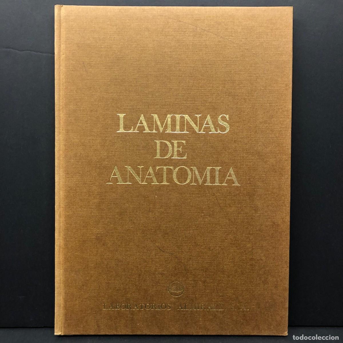 Libros de segunda mano: LAMINAS DE ANATOMIA - LABORATORIOS ALMIRALL - 1975 / 3374