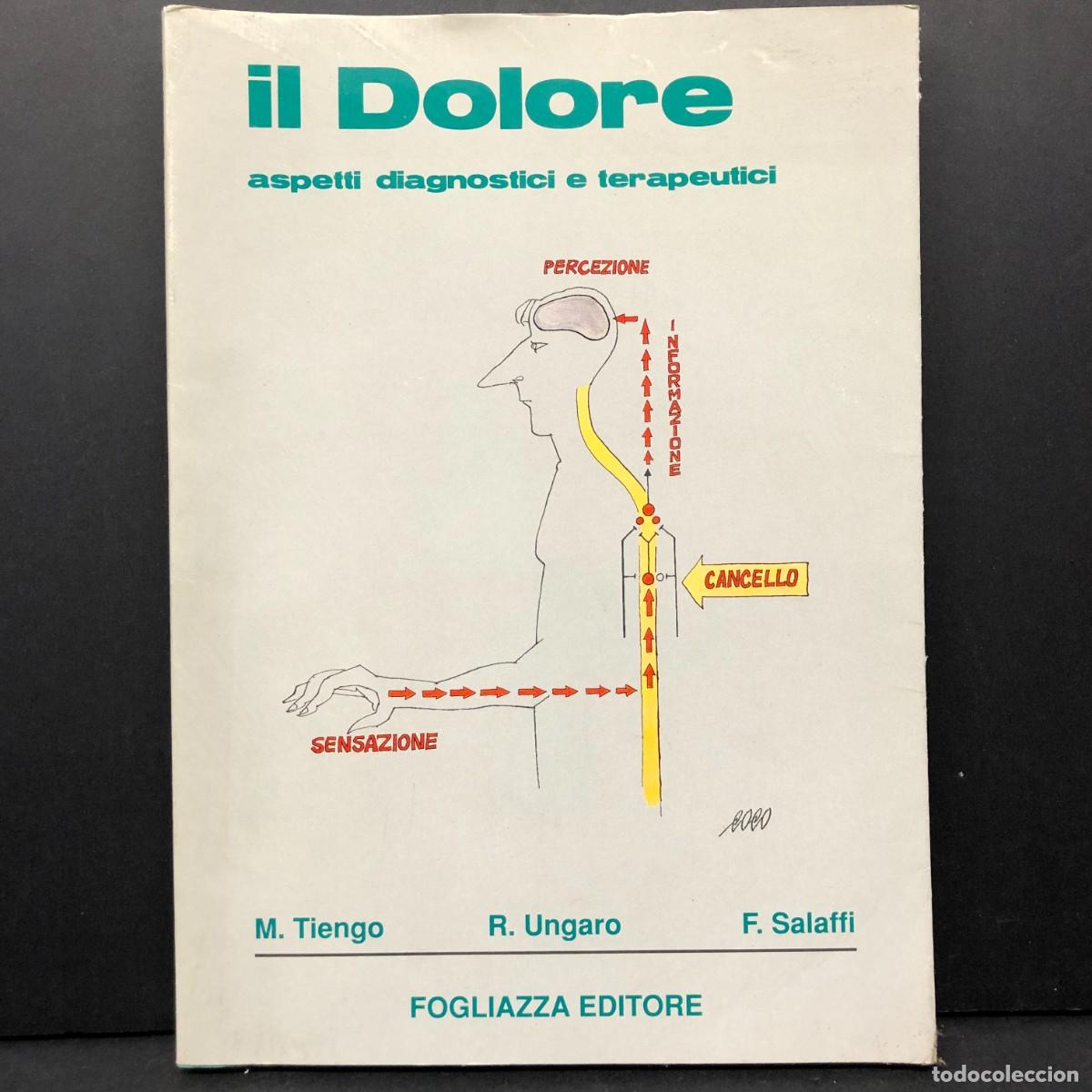 Libros de segunda mano: IL DOLORE - ASPETTI DIAGNOSTICI E TERAPEUTICI - M. TIENGO, R. UNGARO, F. SALAFFI - FOGLIAZZA / 3669