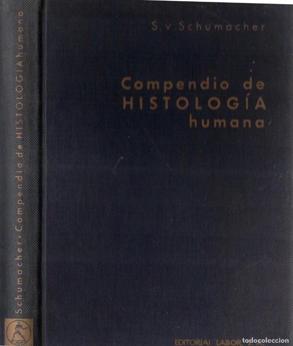 Libros de segunda mano: COMPENDIO DE HISTOLOGIA HUMANA. SCHUMACHER, S. V. A-MEDI-1564