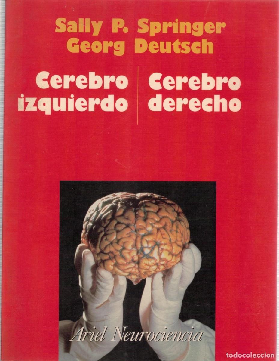 Libros de segunda mano: CEREBRO IZQUIERDO CEREBRO DERECHO. SPRINGER, SALLY P. / DEUTSCH, GEORG. A-MEDI-1569