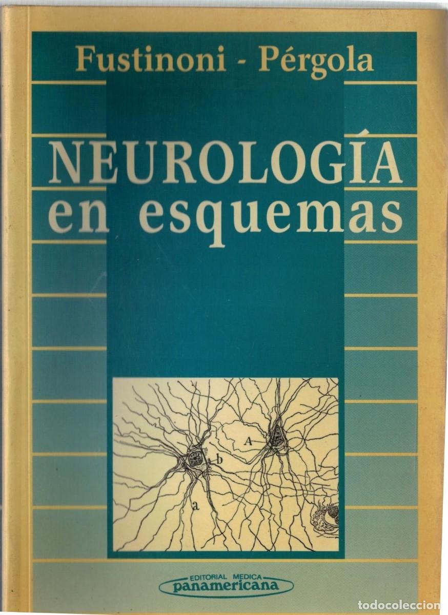 Libros de segunda mano: NEUROLOGIA EN ESQUEMAS. FUSTINONI / PERGOLA. A-MEDI-1573