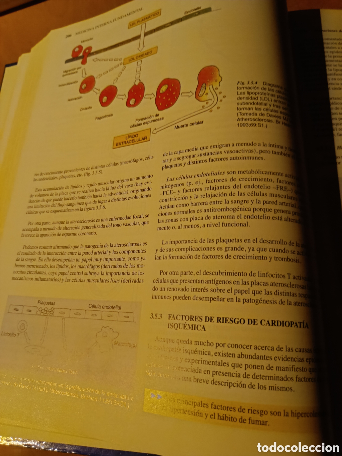 Libros de segunda mano: Medicina interna fundamental - Foto 12