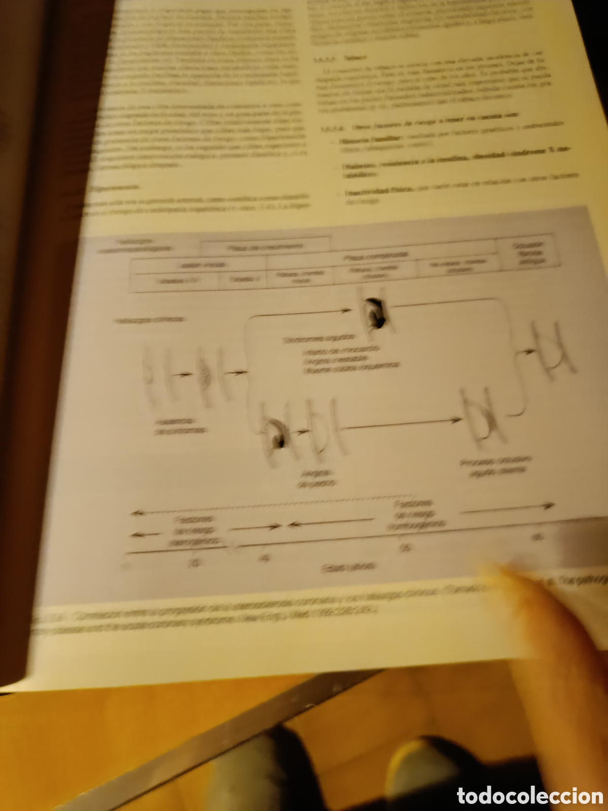 Libros de segunda mano: Medicina interna fundamental - Foto 13