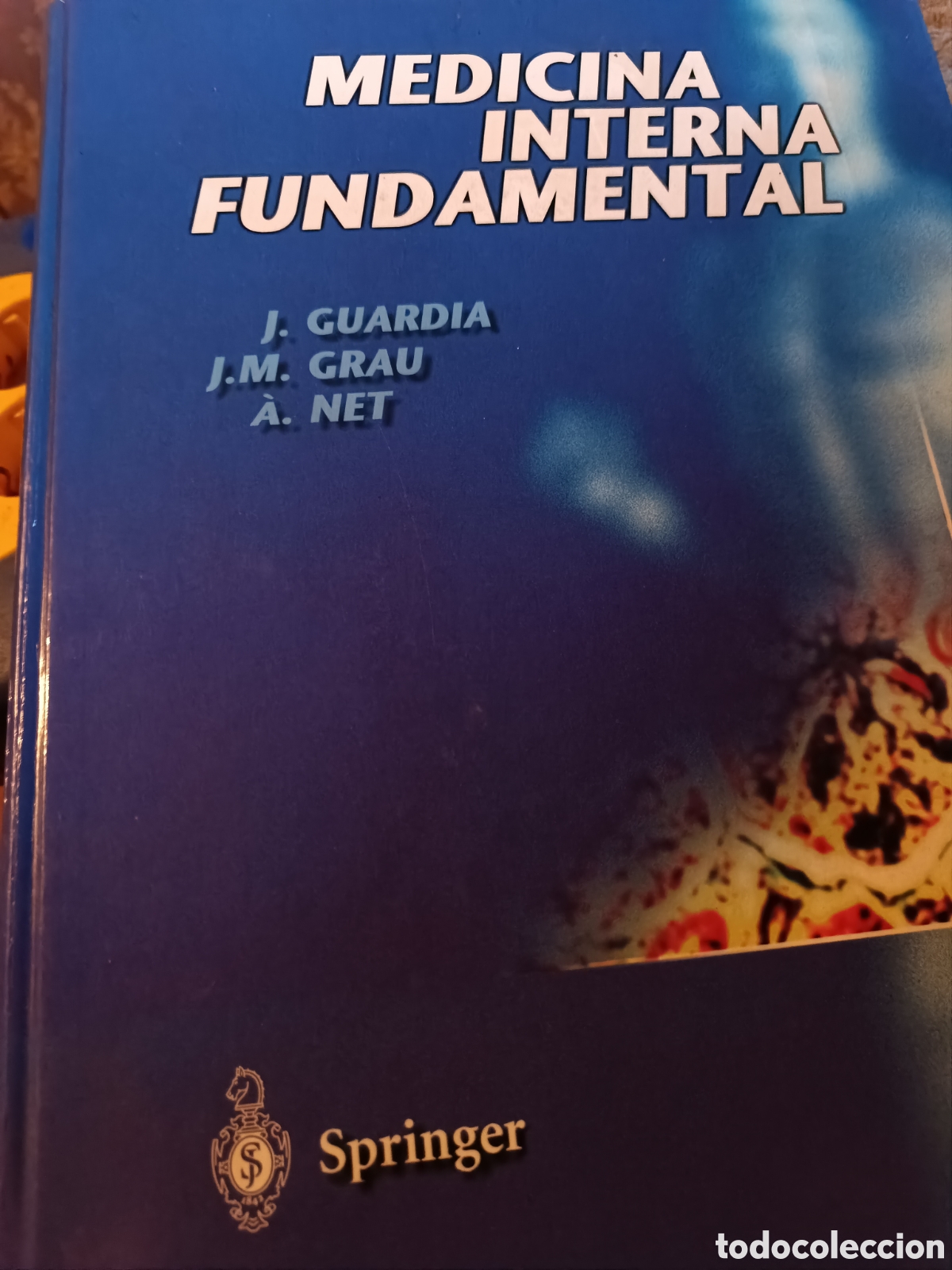 Libros de segunda mano: Medicina interna fundamental