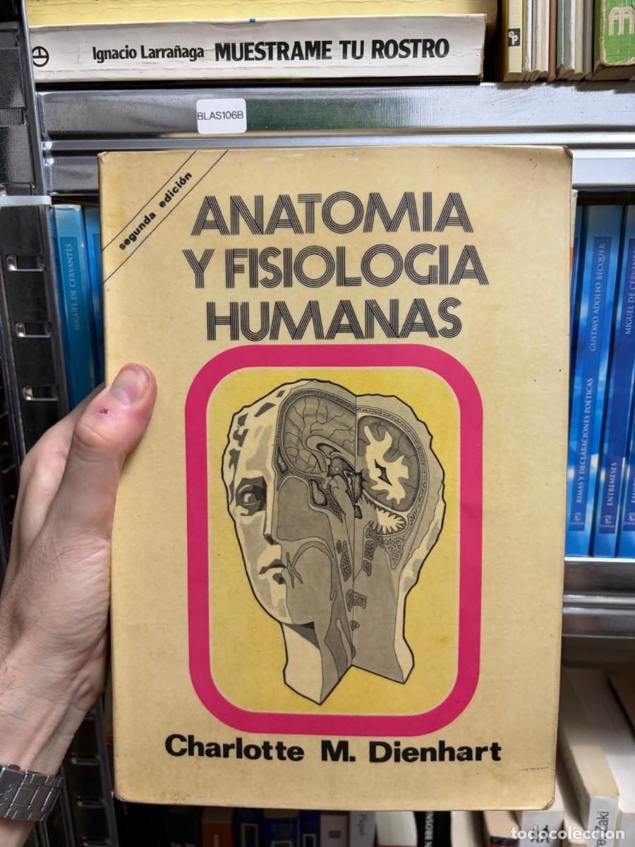 Libros de segunda mano: BLAS106B Charlotte M. Dienhart Anatom&iacute;a y fisiolog&iacute;a humanas. Segunda edici&oacute;n