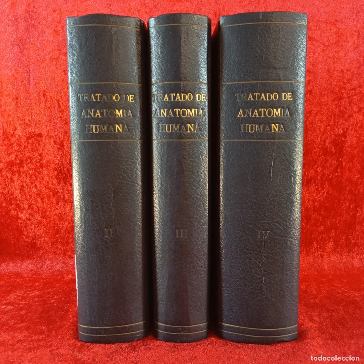 Libros de segunda mano: TRATADO DE ANATOM&Iacute;A HUMANA - L. TESTUT - 1924 - TOMOS II, III Y IV - SALVAT EDITORES / 4966