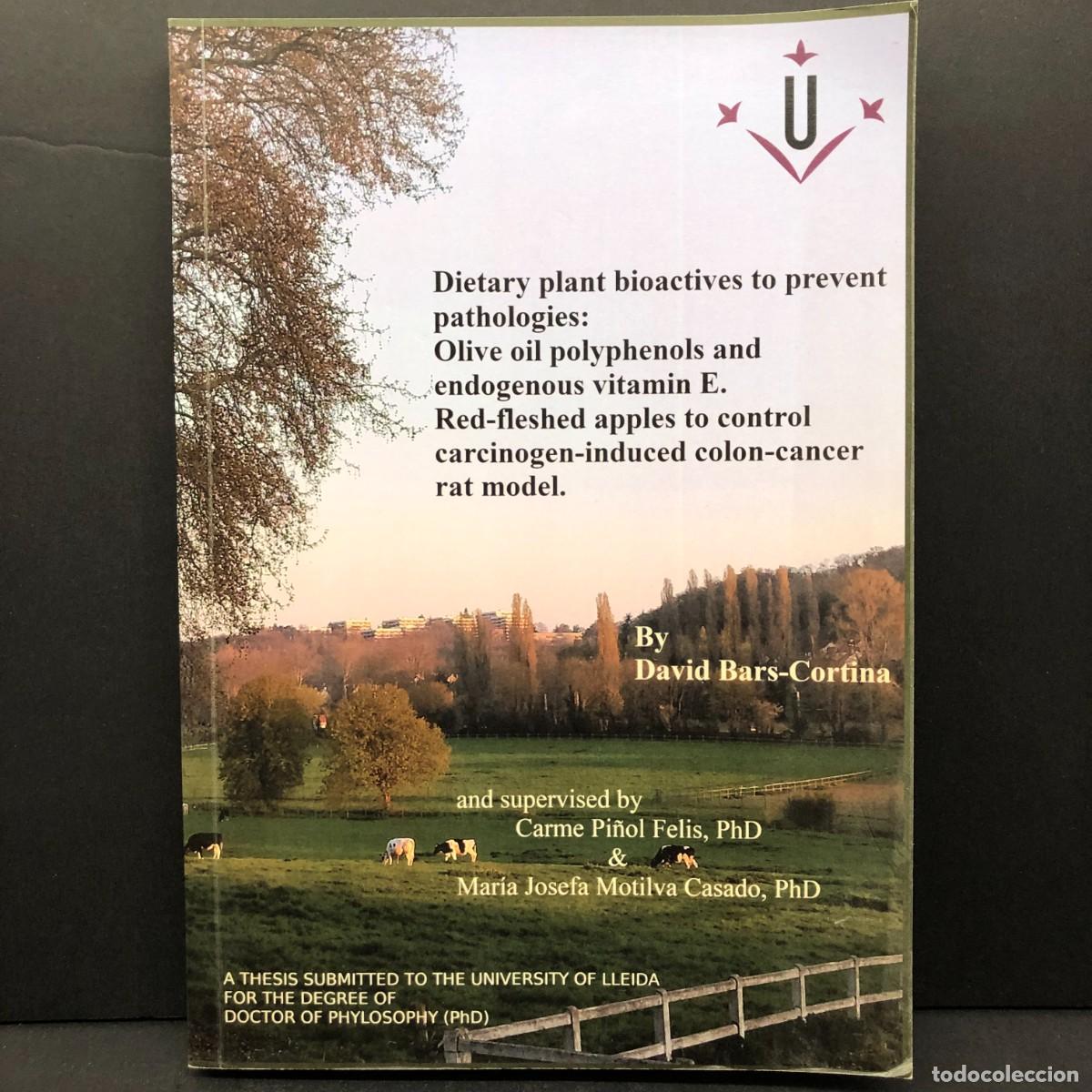 Gebrauchte B&uuml;cher: DIETARY PLANT BIOACTIVES TO PREVENT PATHOLOGIES - DAVID BARS-CORTINA - THESIS DOCTORAL / 5146