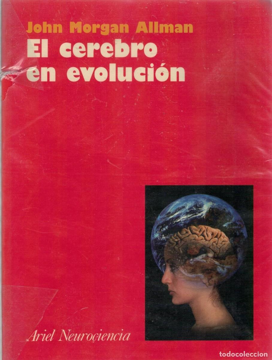 Libros de segunda mano: EL CEREBRO EN EVOLUCION. MORGAN ALLAN, JOHN. A-MEDI-1635
