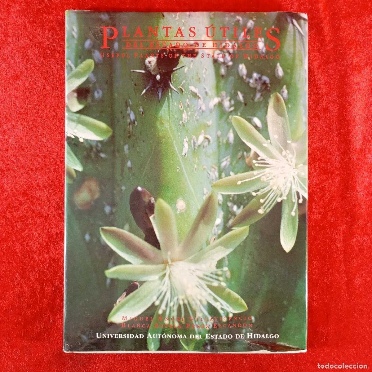 Libros de segunda mano: PLANTAS &Uacute;TILES DEL ESTADO DE HIDALGO - MIGUEL &Aacute;NGEL VILLAVICENCIO - BLANCA ESTELA P&Eacute;REZ / 6054