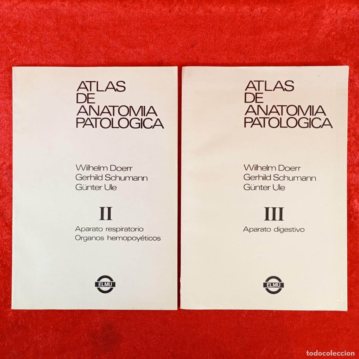 Libros de segunda mano: ATLAS DE ANATOMIA PATOLOGICA - APARATO RESPIRATORIO Y DIGESTIVO - ELMU / 6086