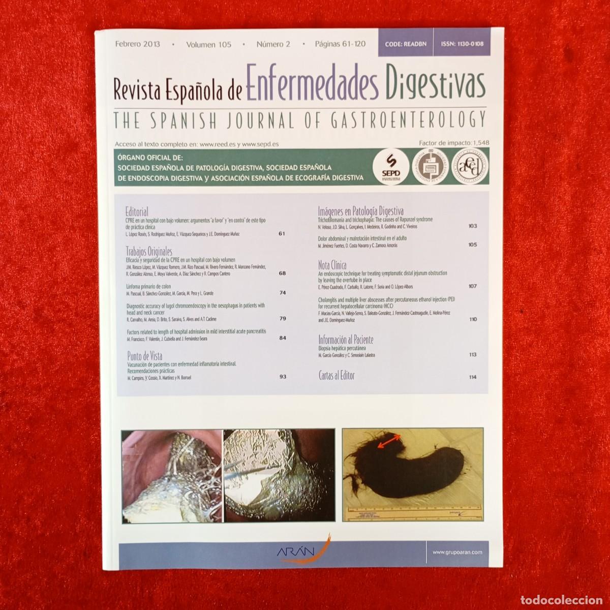 Libros de segunda mano: REVISTA ESPA&Ntilde;OLA DE ENFERMEDADES DIGESTIVAS - N&Uacute;M. 2 - VOL. 105 - FEBRERO 2013 / 6096