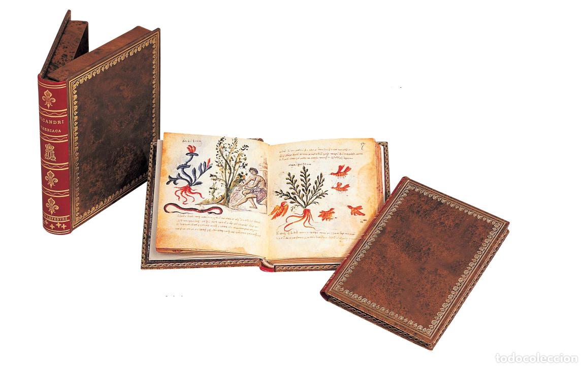 Libros de segunda mano: Theriaka y Alexipharmaka de Nicandro. Facs&iacute;mil Moleiro. Biblioth&egrave;que nationale de France, Par&iacute;s
