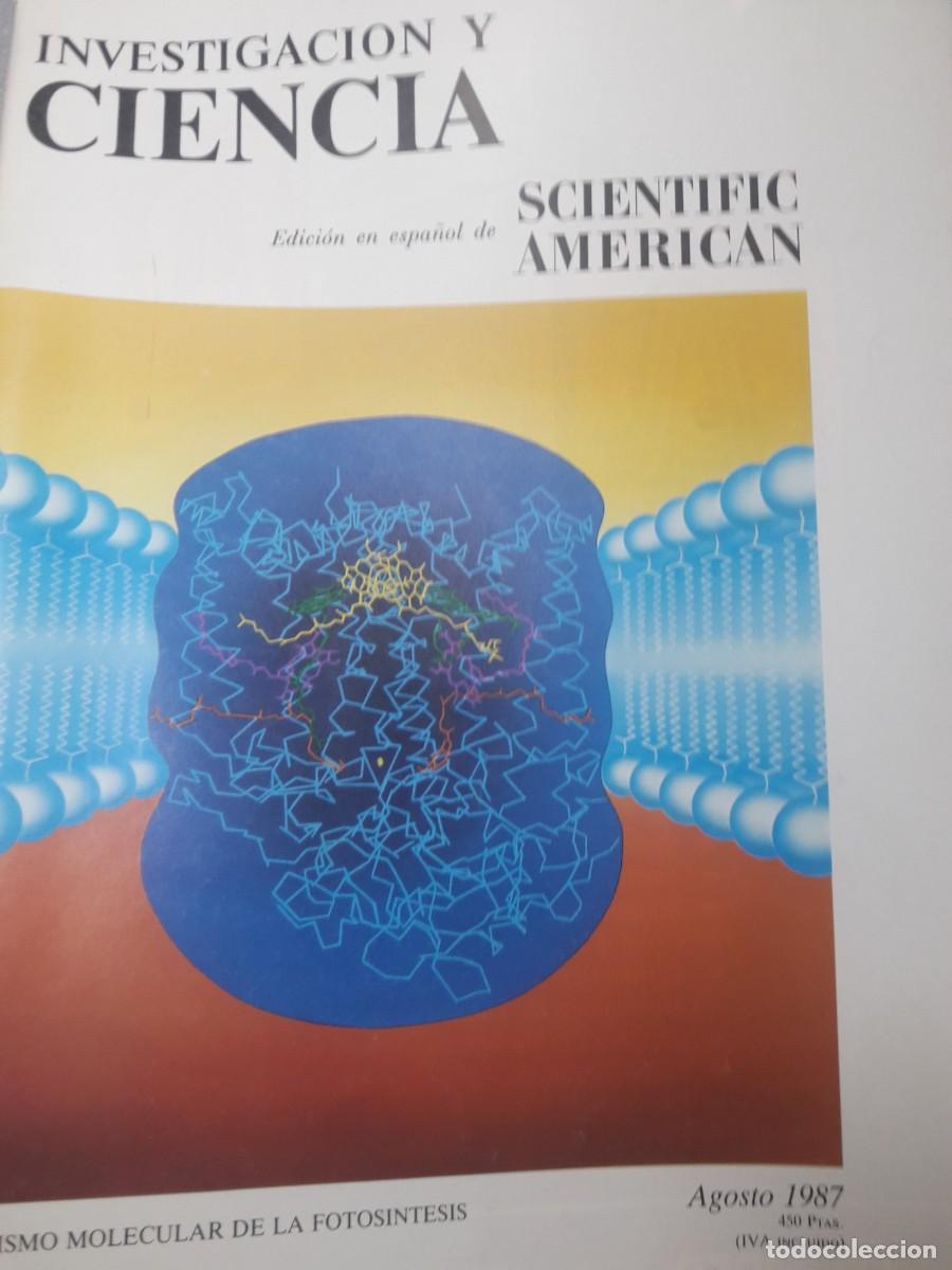 Libros de segunda mano: investigaci&oacute;n y ciencia scientific american 8 1987 mecanismo molecular de la fotos&iacute;ntesis