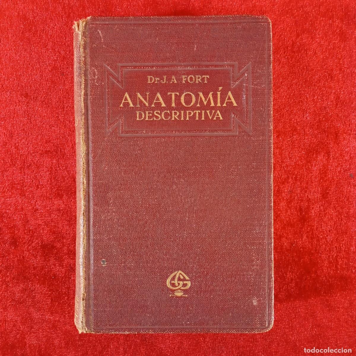 Libros de segunda mano: ANATOM&Iacute;A DESCRIPTIVA - DR. J.A. FORT - GUSTAVO GILI - 1925 / 6531
