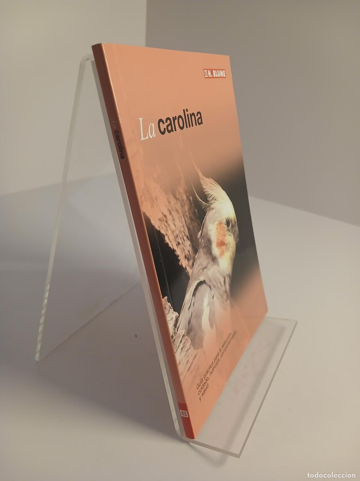 Libros de segunda mano: La carolina - David George - Foto 2
