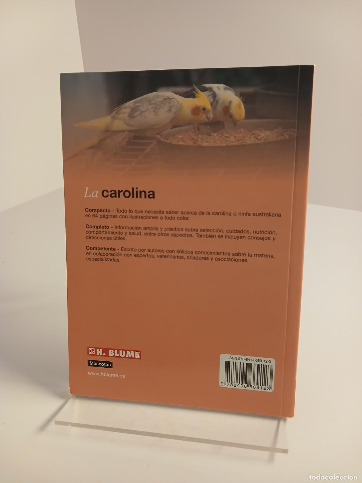 Libros de segunda mano: La carolina - David George - Foto 3