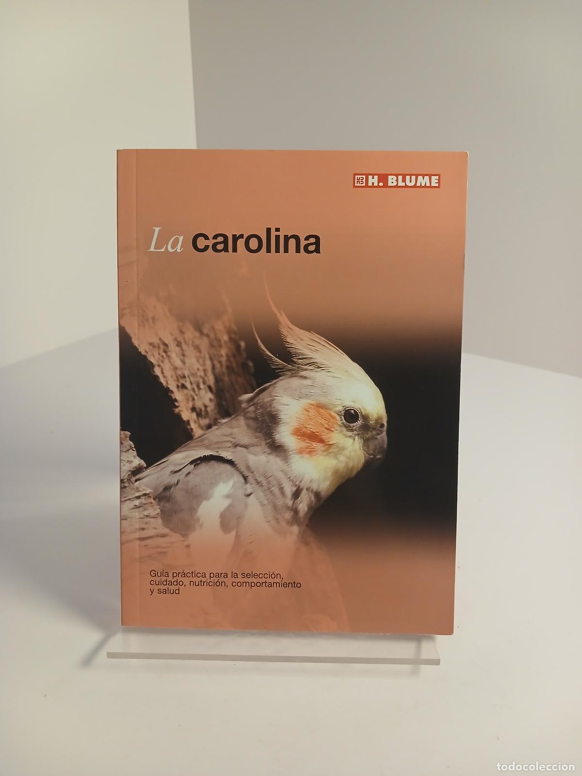 Libros de segunda mano: La carolina - David George - Foto 1
