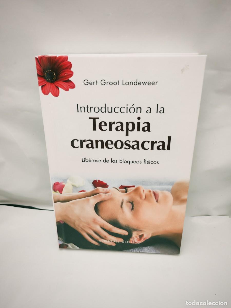 Livres d'occasion: Introducci&oacute;n a la Terapia Craneosacral: Lib&eacute;rese de los Bloqueos F&iacute;sicos (1&ordf; edici&oacute;n, tapa dura)