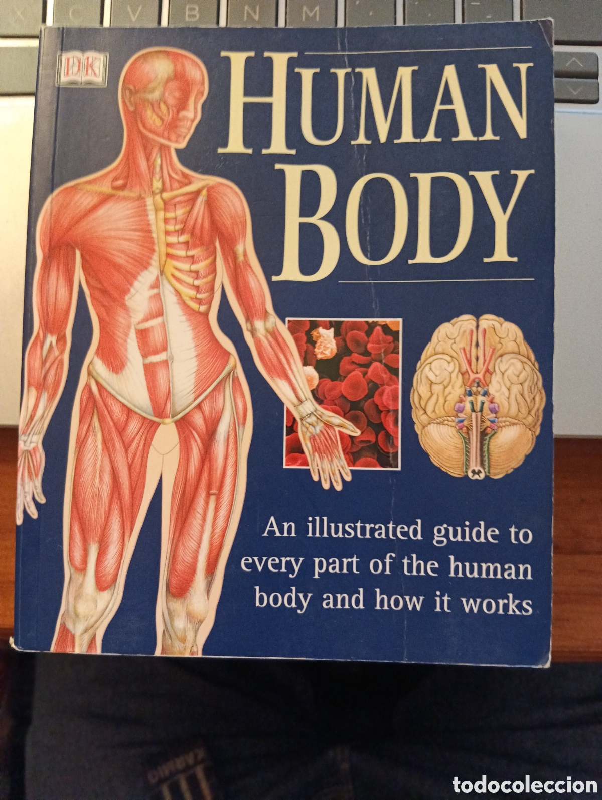 Libros de segunda mano: Human Body: An Illustrated Guide To Every Part Of The Human Body And How It Works