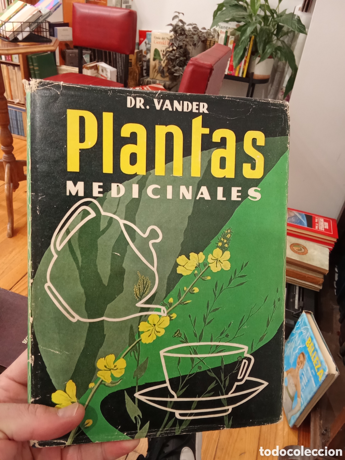 Second hand books: Plantas medicinales - Dr. Vander - Ediciones Adrian Van Der Cut